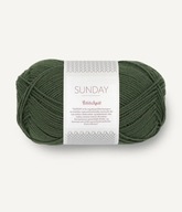 Priadza merino vlna Sunday PetiteKnit 9581 borovica Sandnes Garn Priadza merino vlna Sunday PetiteKnit 9581 borovica Sandnes Garn