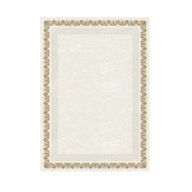 Diplomy 170g [25] ARKADY Z zlatá
