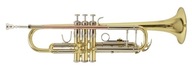 Bb Bach TR-501 trúbka 3 ROKY ZÁRUKA