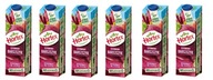 6x 1L HORTEX Barszczyk cviklová šťava CHLIEB 6x 1L HORTEX Barszczyk cviklová šťava CHLIEB