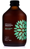 Kombucha Uhorka Koriander VIGO BIO 330 ml 8 ks sada Kombucha Uhorka Koriander VIGO BIO 330 ml 8 ks sada