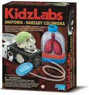 KidzLabs - Anatómia - Ľudské orgány