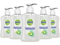 DETTOL tekuté mydlo 5 ks hydratačný SET DETTOL tekuté mydlo 5 ks hydratačný SET