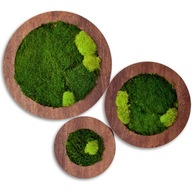 MACHOVÉ OBRAZY MOSS TRIPTIQUE DREVENÝ RÁM KRUH XL MACHOVÉ OBRAZY MOSS TRIPTIQUE DREVENÝ RÁM KRUH XL