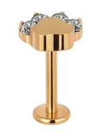 Labret náušnice Titanium tragus Paw Crystals 8mm Labret náušnice Titanium tragus Paw Crystals 8mm