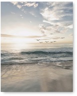 Plagátový obrázok BEACH BIRDS 40x50 cm #115 Plagátový obrázok BEACH BIRDS 40x50 cm #115