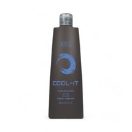 BES Color Reflection Cool It farbiaci šampón - 300ml BES Color Reflection Cool It farbiaci šampón - 300ml