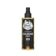 TSF ARABIAN voda po holení kolínská 250ml kol TSF ARABIAN voda po holení kolínská 250ml kol