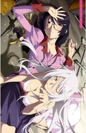 Plagát Anime Bakemonogatari bm_048 A2 (vlastné)