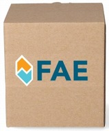 SNÍMAČ TEPLOTY VODY FAE 33910