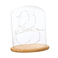LD Light Dome Cloche LD Glass Cloche Glass E LD Light Dome Cloche LD Glass Cloche Glass E