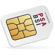 I/O TERMINÁL LIC PSA BSI SIEMENS VALEO JOHNSON KON I/O TERMINÁL LIC PSA BSI SIEMENS VALEO JOHNSON KON