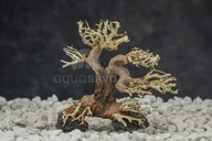 Akvarijný bonsajový strom Aquasilva Godwana