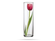 Jednoduchá sklenená váza 27,5 cm Bubon SIMAX