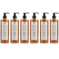 PRIJA tekuté mydlo s extraktom ženšenu, s pumpičkou 380 ml 6x380ml PRIJA tekuté mydlo s extraktom ženšenu, s pumpičkou 380 ml 6x380ml