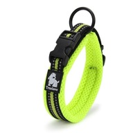 LIME Obojok pre veľkého psa LIGHT TRUELOVE 3XL LIME Obojok pre veľkého psa LIGHT TRUELOVE 3XL