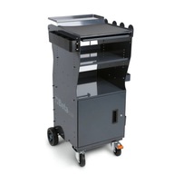 Multifunkčný diagnostický vozík so skriňou a brzdou, 435x1099x460 mm, sivý Multifunkčný diagnostický vozík so skriňou a brzdou, 435x1099x460 mm, sivý