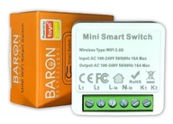 DVOJKANÁLOVÁ WIFI RELÉ SPÍNACIA ZÁSUVKA TUYA SMART 16A DVOJKANÁLOVÁ WIFI RELÉ SPÍNACIA ZÁSUVKA TUYA SMART 16A