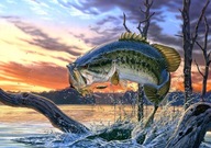 Oblátka na tortu ANGLER FISH Cukor potlač A4 Oblátka na tortu ANGLER FISH Cukor potlač A4