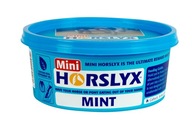 Horslyx Mint mini 650 g soľný liz Horslyx Mint mini 650 g soľný liz