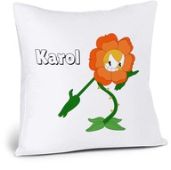 HLAVNÝ VANKÚŠ + MENO HLAVNÝ VANKÚŠ + MENO