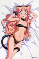 Plagát Anime Zero no Tsukaima znt_100 A2 (vlastné) Plagát Anime Zero no Tsukaima znt_100 A2 (vlastné)