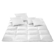 PÁROVÁ PAPIERKA 160x200+4 páperové vankúše AMW SET PÁROVÁ PAPIERKA 160x200+4 páperové vankúše AMW SET