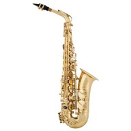ARNOLDS SONS AAS-100 ALTO SAX