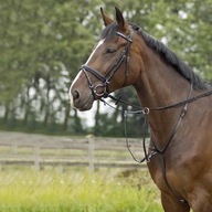Kožený martingal BUSSE Basic-Pro Pony Kožený martingal BUSSE Basic-Pro Pony