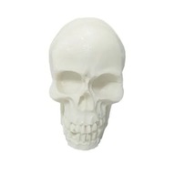 Silikónová forma na sviečky Sisano Skull