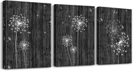Obrazový triptych grafika obývačka púpava 3x stena Obrazový triptych grafika obývačka púpava 3x stena