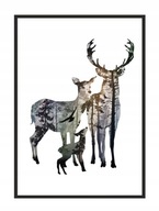 OBRAZOVÝ PLAGÁT V RÁME 33x43 cm Jeleň P1734 OBRAZOVÝ PLAGÁT V RÁME 33x43 cm Jeleň P1734
