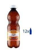 Jan 0,5 l Prírodná liečivá voda x12 ks.