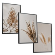 Grasses Beige Boho Sada 3 plagátov 50x70 do obývačky Grasses Beige Boho Sada 3 plagátov 50x70 do obývačky