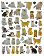 MOTIVAČNÉ 3D PUFFY NÁLEPKY CATS MAČIATKA MAČIATKA MOTIVAČNÉ 3D PUFFY NÁLEPKY CATS MAČIATKA MAČIATKA