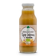 Bio zázvorový sirup s medom 270ml - Dary Natury Bio zázvorový sirup s medom 270ml - Dary Natury