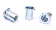 NITOVACIA MATICA PLOCHÁ M10 /1,0-4,0mm/POZINKOVANÁ RYF 100ks NITOVACIA MATICA PLOCHÁ M10 /1,0-4,0mm/POZINKOVANÁ RYF 100ks