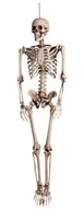 Kostra halloween dekorácia kostra 160cm kosť