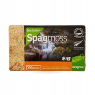 SPHAGNUM Sphagnum Machový substrát na zakorenenie 8l SPHAGNUM Sphagnum Machový substrát na zakorenenie 8l