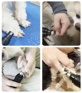 Pilník na brúsenie nechtov pre domáce zvieratá Psy a mačky