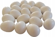 Vajcia základ vajíčko pre bažanta 20 kusov