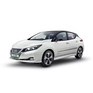 Nissan LEAF 2017 - bočné lišty Nissan LEAF 2017 - bočné lišty