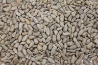 Slnečnicové semená lúpané 10 kg