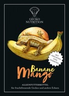 Gecko Nutrition Banán Mango 250g Gecko Nutrition Banán Mango 250g