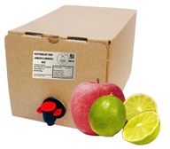 Jablkovo-LIMETOVÁ šťava 5l (v kartóne), prírodná, NFC Jablkovo-LIMETOVÁ šťava 5l (v kartóne), prírodná, NFC