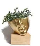Kvetináč-kryt, hlava 21x18x13cm, zlatá