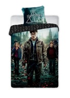 HARRY POTTER POSTEĽNE 160x200 HOGWARTS BYLINKA DRACO HARRY POTTER POSTEĽNE 160x200 HOGWARTS BYLINKA DRACO