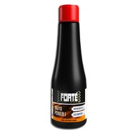 FORTE MOTO POWER 1 ČISTÍ VSTREKOVAČE + DÝZY MOTOCYKLU FORTE MOTO POWER 1 ČISTÍ VSTREKOVAČE + DÝZY MOTOCYKLU