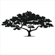 Maľovacie šablóny, šablóna bonsajového stromčeka