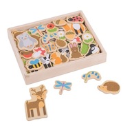 Lesné magnety BigJigs Lesné magnety BigJigs